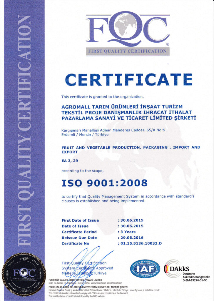 ISO 9001-2008