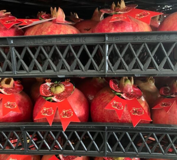 Pomegranate