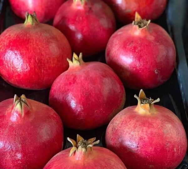 Pomegranate
