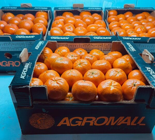 Mandarin