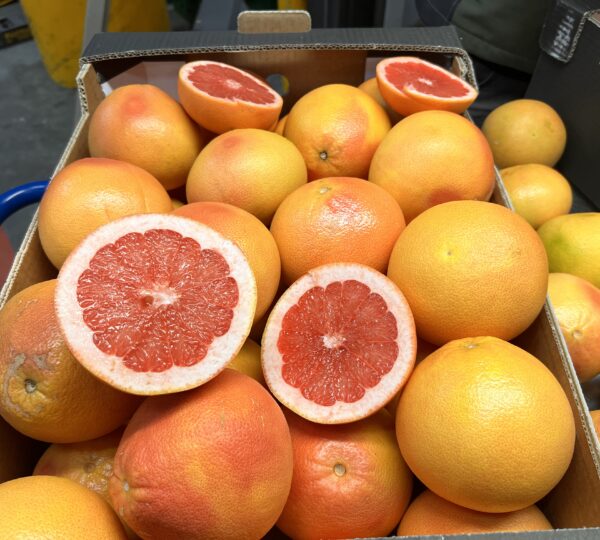 Grapefruit