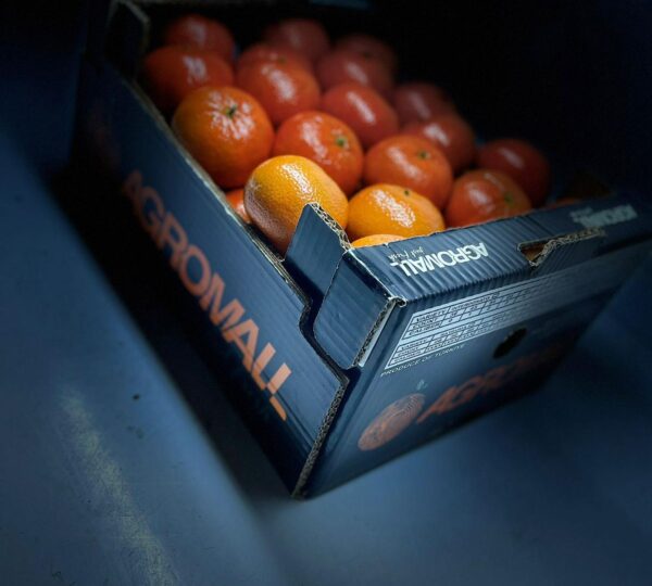 Mandarin