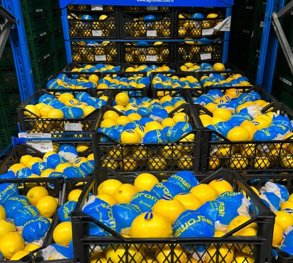 Lemon