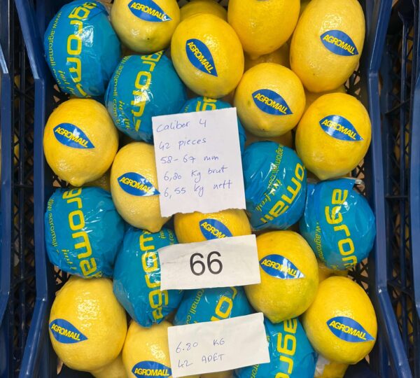 Lemon