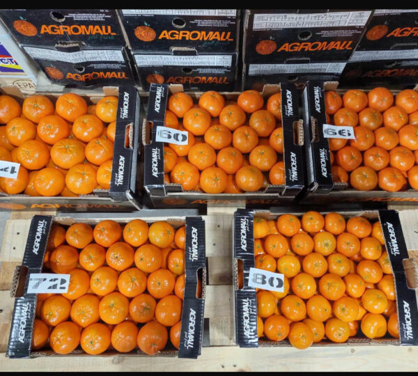 Mandarin