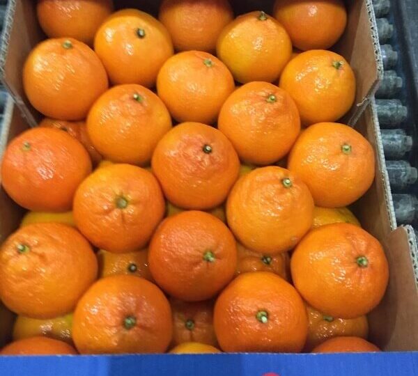 Mandarin