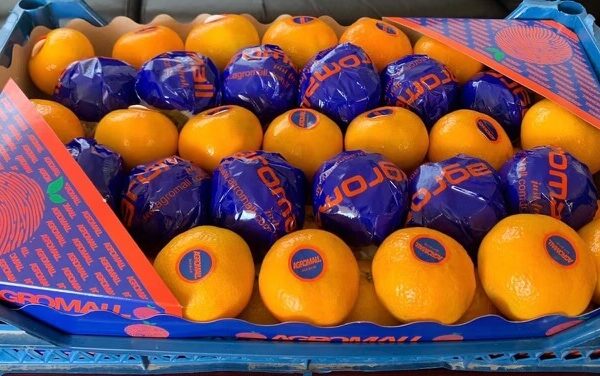 Mandarin