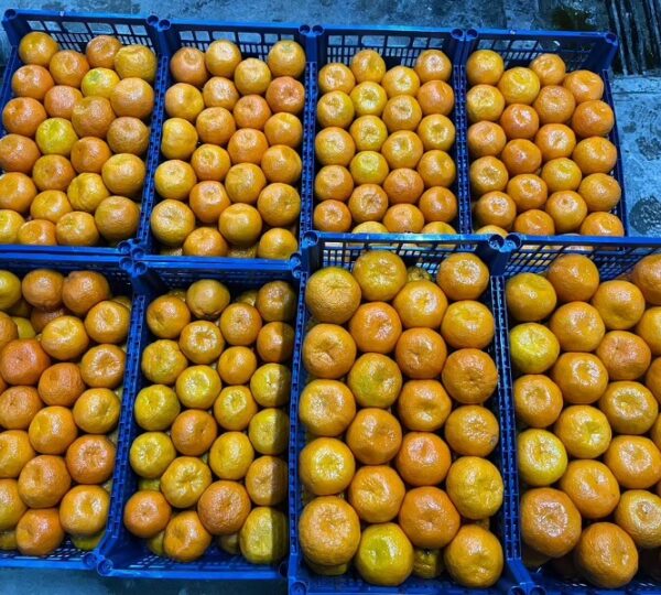 Mandarin