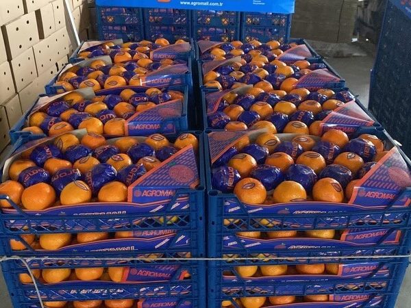Mandarin