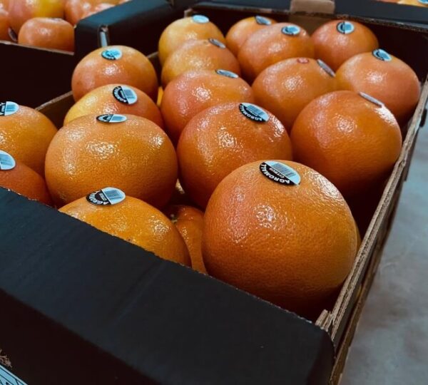 Mandarin