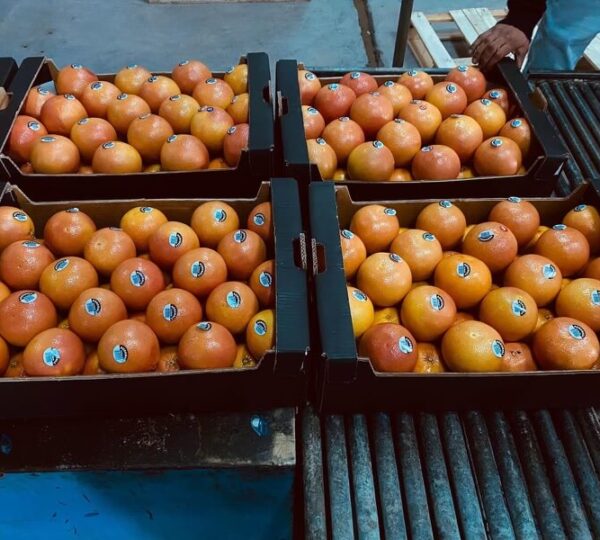 Mandarin