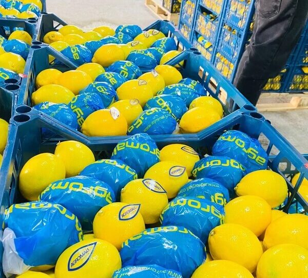 Lemon