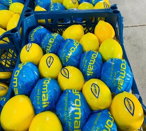 Lemon