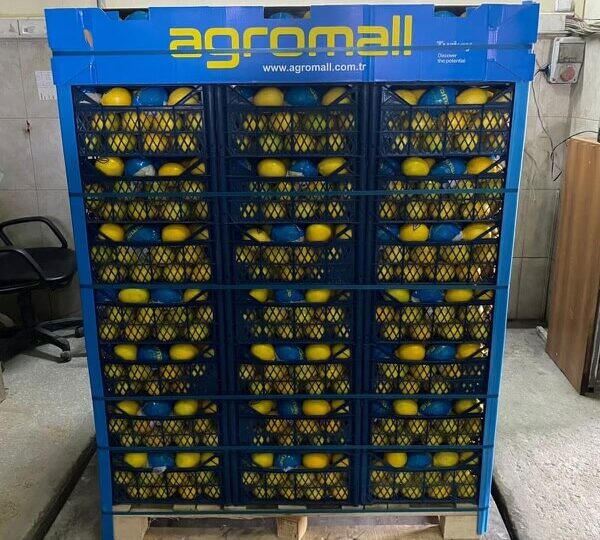 Lemon