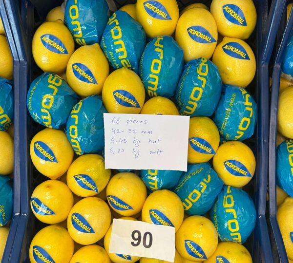 Lemon